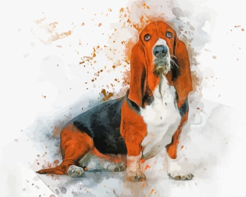 Basset Dog Art paint by numbers