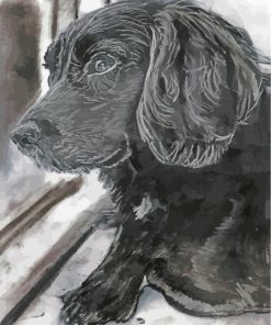 Black And White Cocker Spaniel paint by numbers