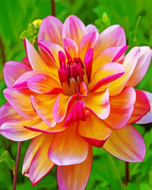 Blooming Dahlia Flower paint by numbers