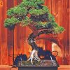 Green Bonsai Tree paint by numbers