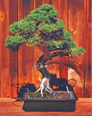 Green Bonsai Tree paint by numbers