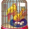 Canary Birds In Cage paint by numbers