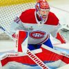 Carey Price Habs paint by numbers