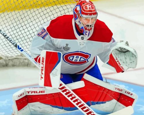 Carey Price Habs paint by numbers