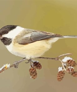 Carolina Chickadee On Stick paint by numbers