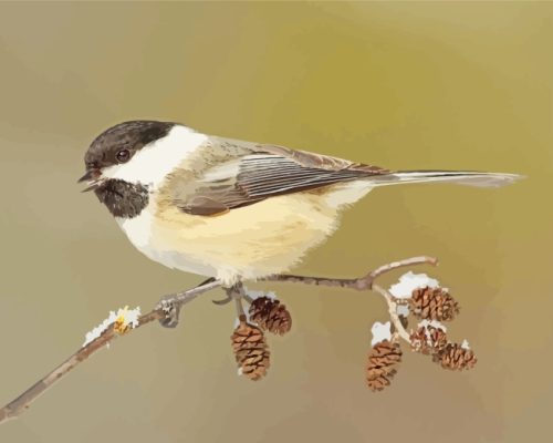 Carolina Chickadee On Stick paint by numbers