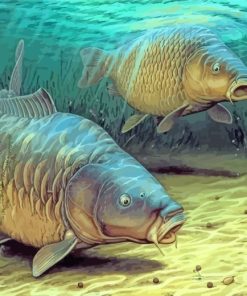 Carp Fishes paint by numbers