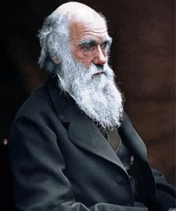 Charles Darwin paint by numbers