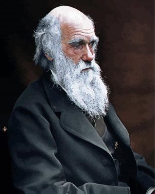 Charles Darwin paint by numbers