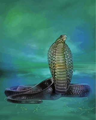 Cobra Snake Art paint by numbers