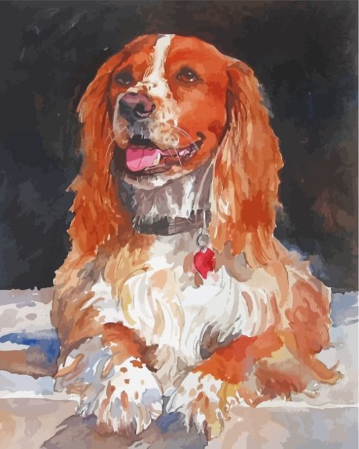 Cocker Dog Art paint by numbers