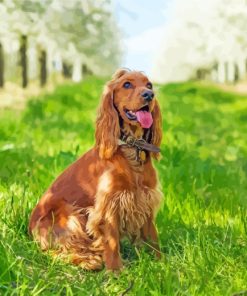 Cocker Dog In Garden paint by numbers