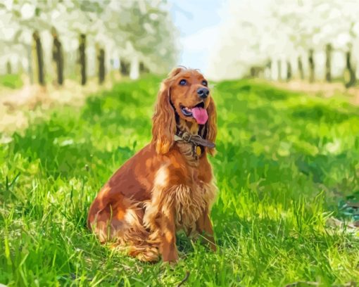 Cocker Dog In Garden paint by numbers