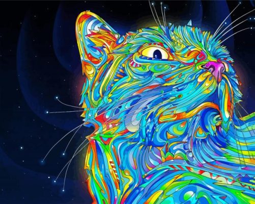 Colorful Cat Art paint by numbers