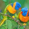 Beautiful Lorikeet Birds paint by numbers