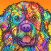 Colorful Newfoundland Dog paint by numbers