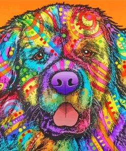 Colorful Newfoundland Dog paint by numbers