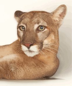 Cool Cougar Animal paint by numbers