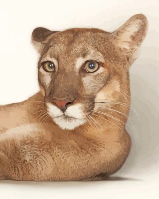 Cool Cougar Animal paint by numbers