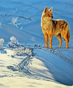 Coyote In Snow paint by numbers