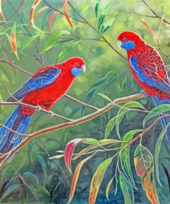 Crimson Rosella On Branch paint by numbers