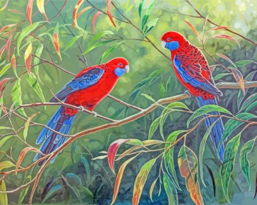 Crimson Rosella On Branch paint by numbers