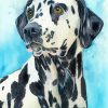 Dalmatian Dog Art paint by numbers