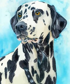 Dalmatian Dog Art paint by numbers