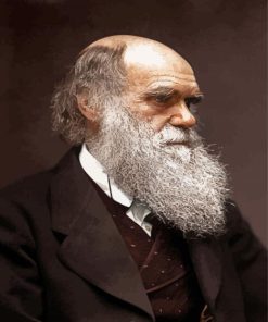 Portrait Of Charles Darwin paint by numbers