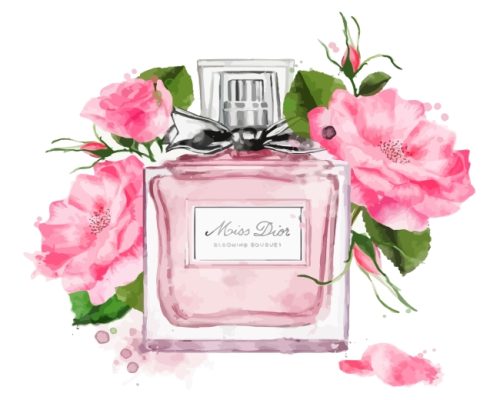 Miss Dior Roses Perfume paint by numbers