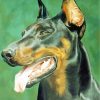 Doberman Dog Head paint by numbers