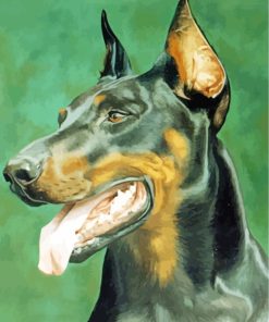 Doberman Dog Head paint by numbers