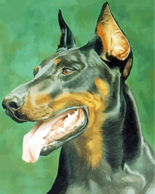 Doberman Dog Head paint by numbers