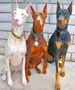 Aesthetics Doberman Dogs paint by numbers