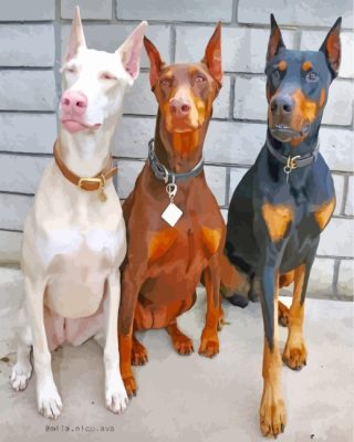 Aesthetics Doberman Dogs paint by numbers