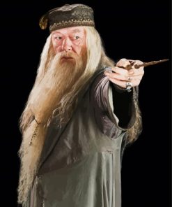 Professor Albus Dumbledore paint by numbers