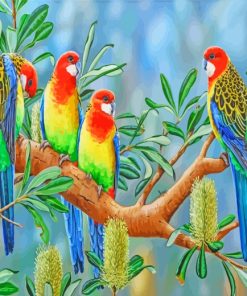 Aesthetics Eastern Rosella Birds paint by numbers