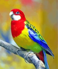 Colorful Eastern Rosella paint by numbers