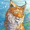 Eurasian Lynx Animal paint by numbers