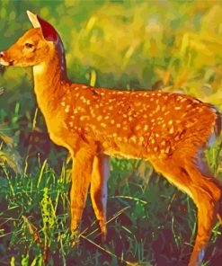 Fawn Animal paint by numbers