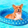 Floating Dog In Pool paint by numbers