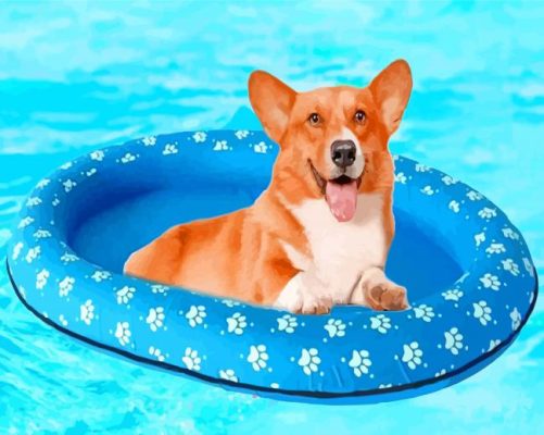 Floating Dog In Pool paint by numbers