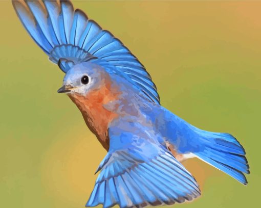 Flying Bluebird paint by numbers