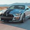 Ford Mustang Shelby paint by numbers