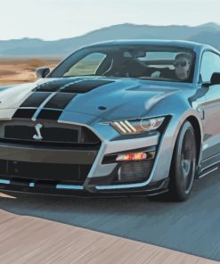 Ford Mustang Shelby paint by numbers