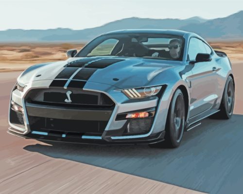 Ford Mustang Shelby paint by numbers