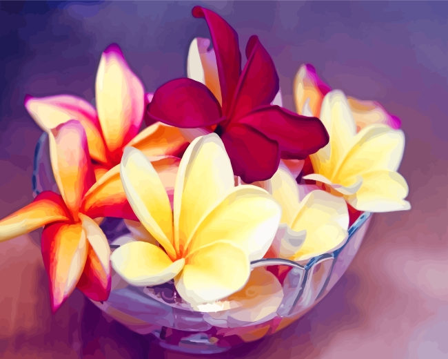 Frangipani In Bowl paint by numbers