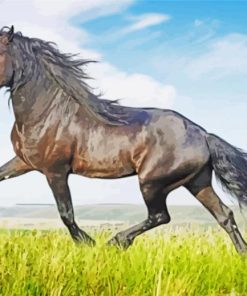 Aesthetic Friesian Horse paint by numbers