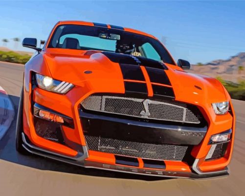 Ford Shelby GT500 Car paint by numbers