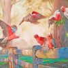 Galah Birds Gathering paint by numbers